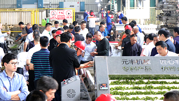 茶叶加工成套设备